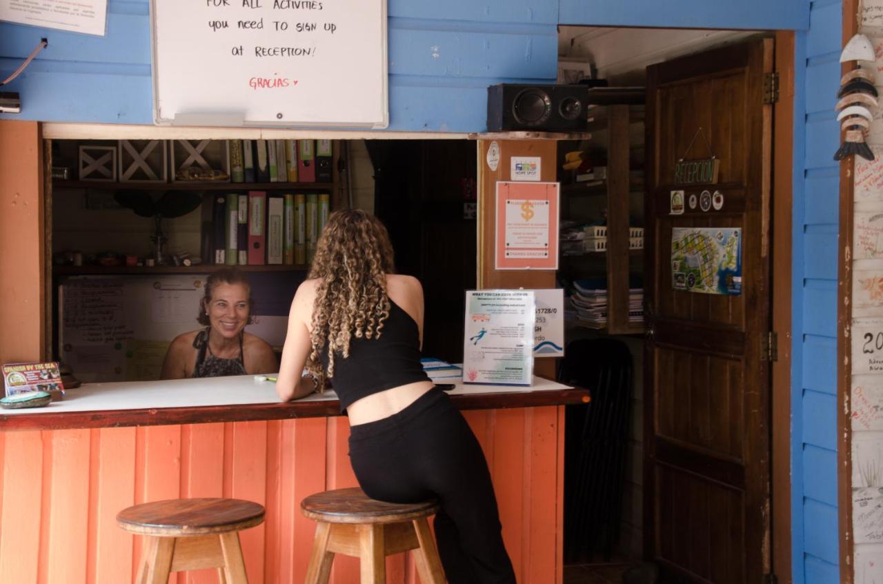 Spanish By The Sea - Bocas Bocas Town Ngoại thất bức ảnh